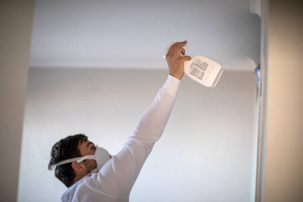 Best Certified Mold Removal  in Duncanville, TX