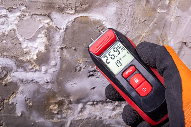 Best Black Mold Removal  in Duncanville, TX