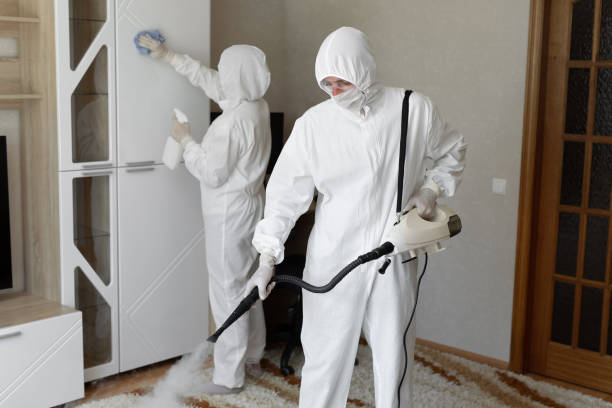 Crawl Space Mold Removal in Duncanville, TX