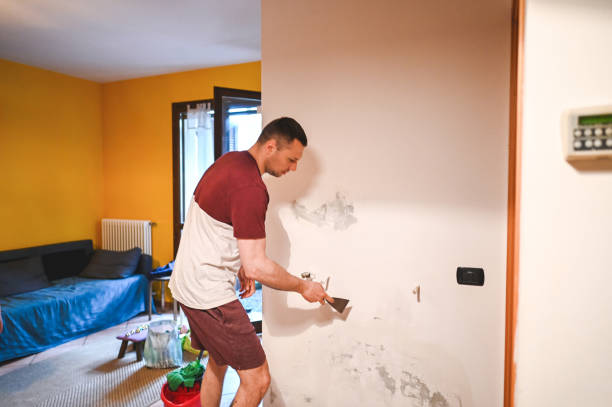 Reliable Duncanville, TX Mold Removal Solutions